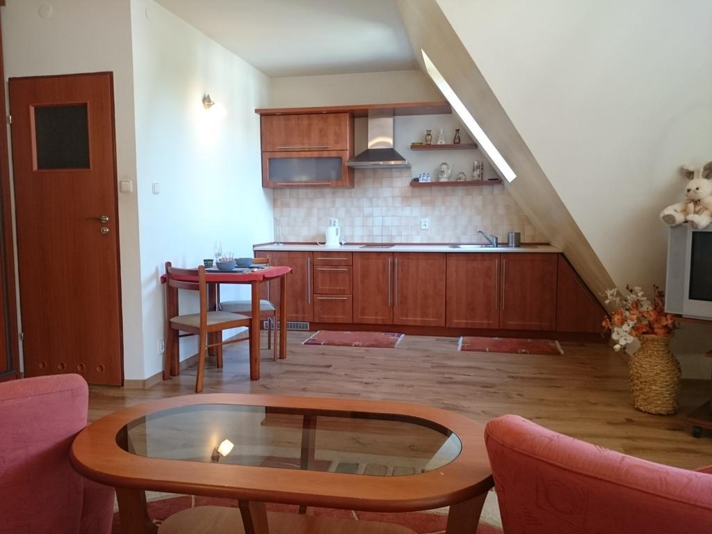 Zakopane - Apartament Z Widokiem エクステリア 写真