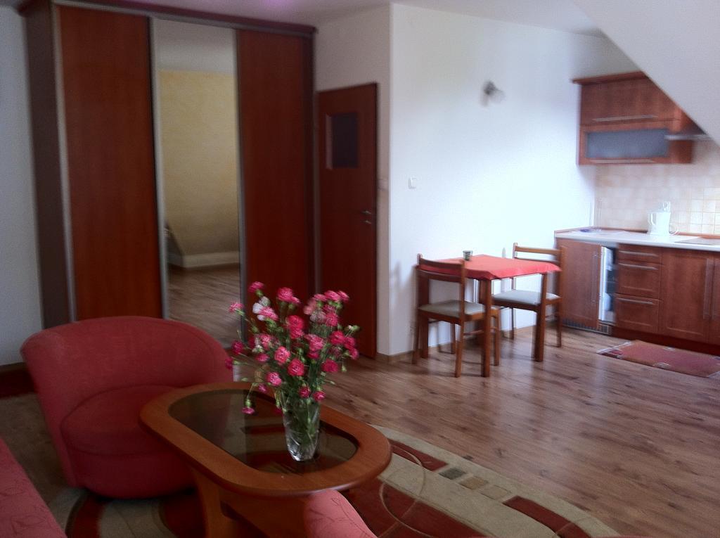 Zakopane - Apartament Z Widokiem エクステリア 写真